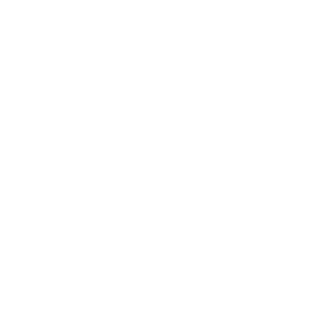 46136 CYN Icons for Key Themes_Targeting_KO