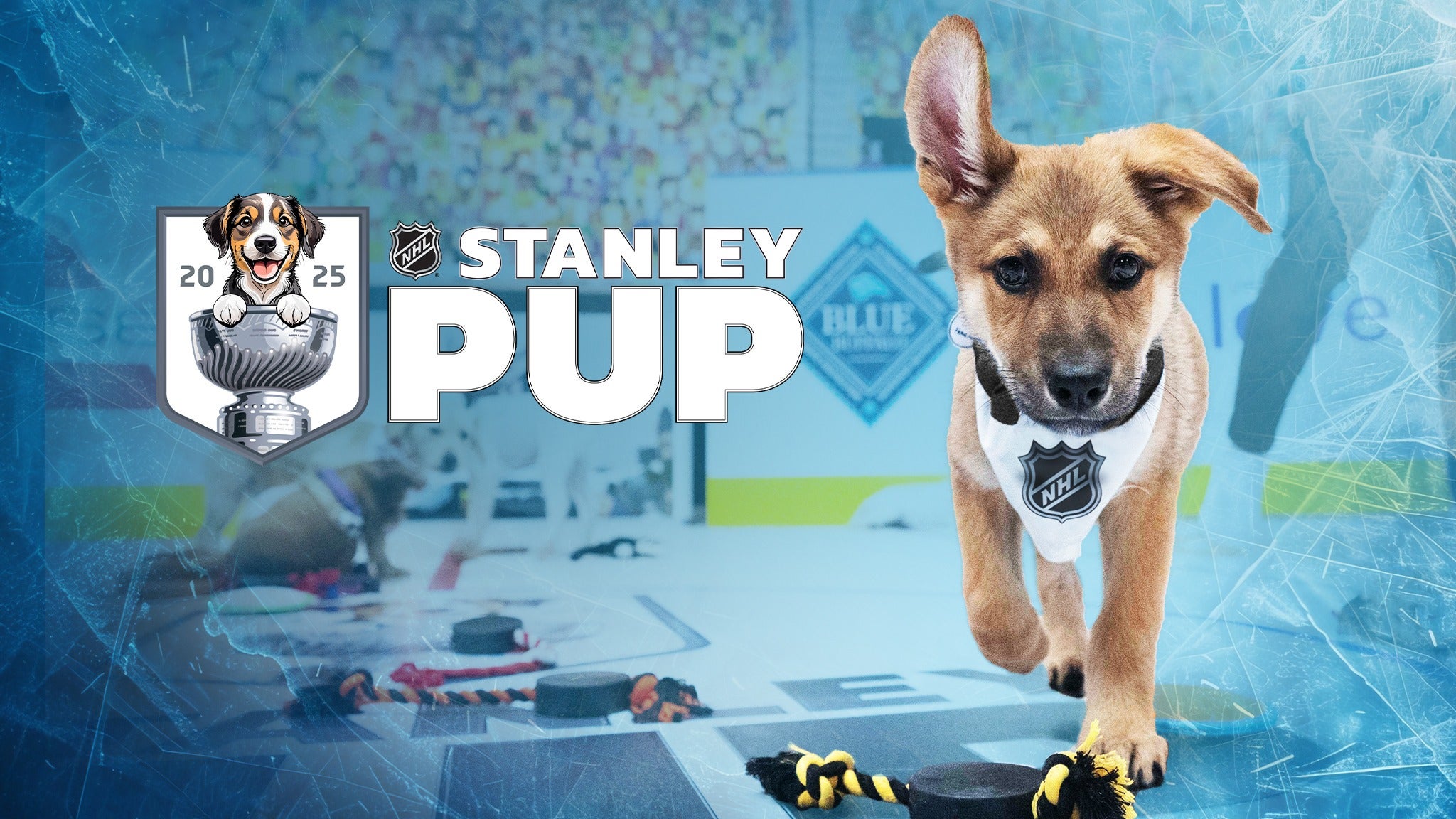 StanleyPup